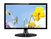 Monitor (TFT LCD LED) Monitor (TFT LCD LED)